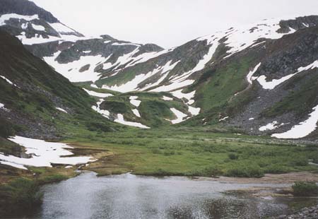 Alaska Juneau Nature 1993